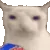 TG_Snacc