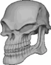 Skully