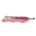 heded