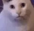 HUH