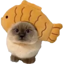 gat gat