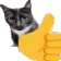 catvalid