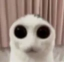 DOYOUFEELTHEWEIGHTOFYOURSINS