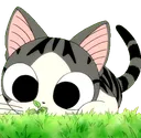 ChiKitty005