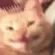 SmileCat