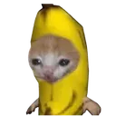 banana_cat