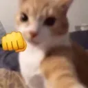 kill