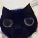 boioioioioing boioioioioing