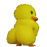 duckbun Discord emoji