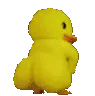 duckbun