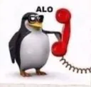 alo