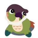BabyJimWiggle BabyJimWiggle
