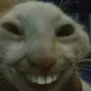 xddlol