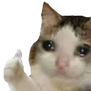 Sad Ok Discord Emoji