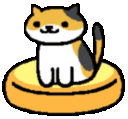 cat_rub
