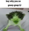 gnarp
