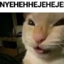 NYEHEHE