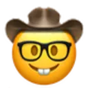 nerdy_cowboy
