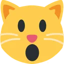 iopen_mouth_cat