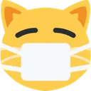 imask_cat
