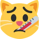 ithermometer_cat