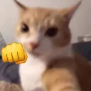 caiate_hdlv