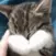 catomg