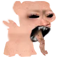 nb_poneifofo