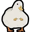 PlsDuck PlsDuck