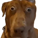OO