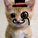 f44d6b48e17b4f0d821e1967a44ed1d1