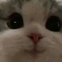 croppedScreenshot_20240103_02561