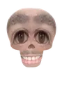 AKULLremovebgpreview Discord Emoji