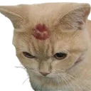 foreheadkissessss Discord Emoji