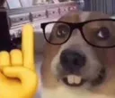 nerd2