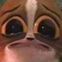 UAUAUAUUA UAUAUAUUA