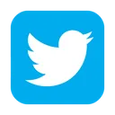 Twitter Twitter