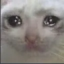 chatsad