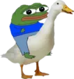 pepeduck