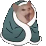catsleepy