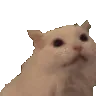 ahh