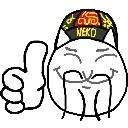100NP