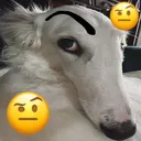 _susbert Discord Emoji