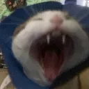 chasy_AHHHHHHH