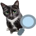 magnifyingglasscat
