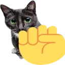 1raisefistcat