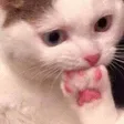 45