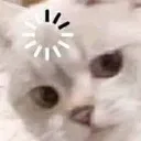 bitchwhat