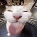 silly