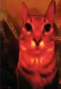 helldemoncatlevel100 helldemoncatlevel100